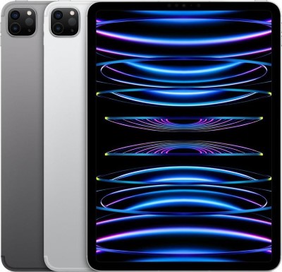 iPad Pro 11.0 WiFi LTE 2022